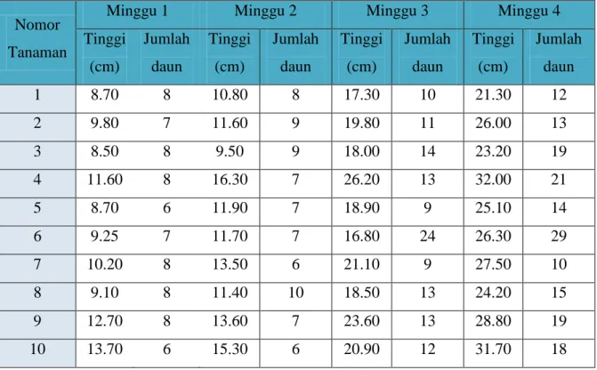 Tabel  3. Perkembangan tinggi dan jumlah daun 
