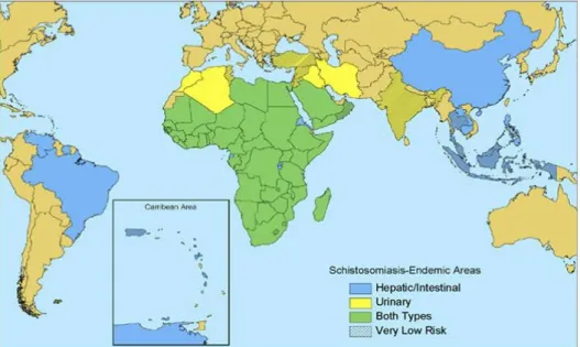 Gambar 2.1 Distribusi Schistosomiasis di Dunia  Sumber: WHO, 2008 