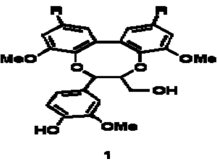 Gambar 4. Struktur kimia lignin (Sipila et al.,1999) 