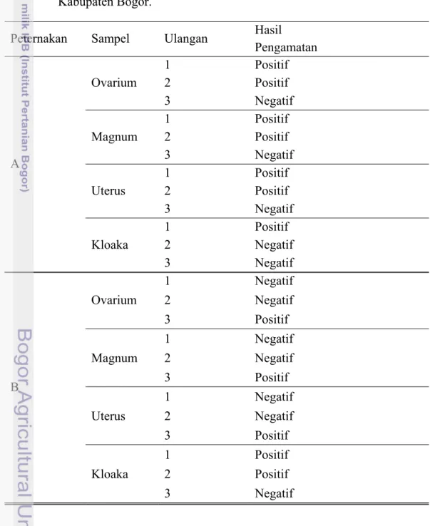 Tabel 2. Pengamatan Koloni Salmonella  spp. pada Saluran Reproduksi dari  Peternakan Ayam Petelur di Desa Curug, Kecamatan Gunung Sindur,  Kabupaten Bogor