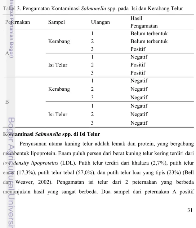 Tabel 3. Pengamatan Kontaminasi Salmonella spp. pada  Isi dan Kerabang Telur                                     enteritidis  (penyebaran vertikal)