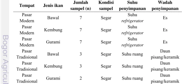 Tabel 9. Kondisi penyimpanan sampel ikan di pasar tradisional dan pasar  modern  