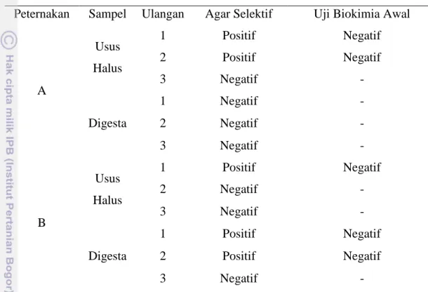 Tabel 2.   Pengamatan  Keberadaan  Koloni  Salmonella  sp.  pada  Saluran  Pencernaan  Ayam  Petelur  di  Desa  Curug,  Kecamatan  Gunung  Sindur,  Kabupaten Bogor