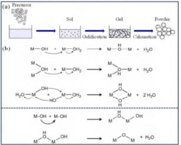 Gambar  2.5  Metode  sol  gel  (a)  representasi  sintesis  kimia  (b)  mekanisme  reaksi  pembentukan  (Gangwar,  dkk,  2015) 