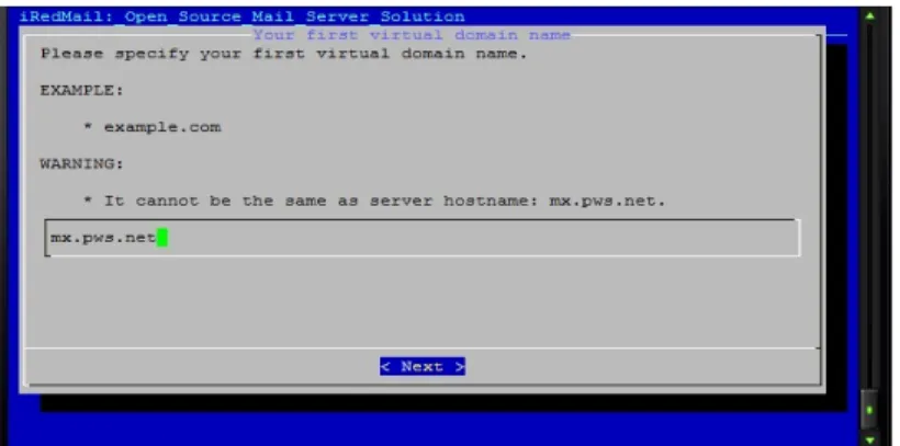 Gambar 20. Proses install iredmail Masukkan password LDAP.