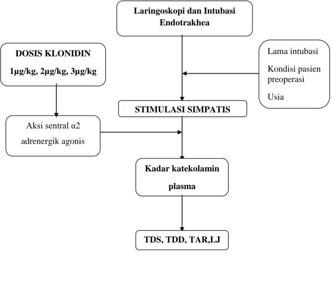 Gambar 2. Kerangka Teori Penelitian Laringoskopi dan Intubasi 