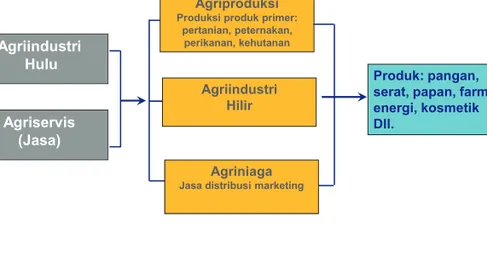 DIAGRAM AGRIBISNIS SEBAGAI SISTEM (Tatuh 2004) Agriindustri Hulu Agriservis (Jasa) Agriproduksi Produksi produk primer: 