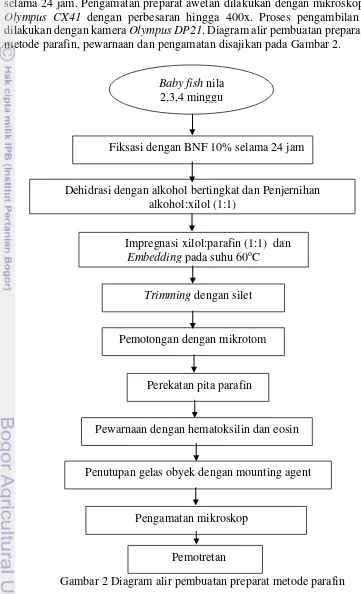 Gambar 2 Diagram alir pembuatan preparat metode parafin 
