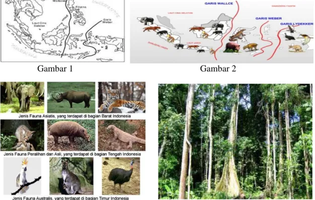 Gambar 3  Gambar 4 