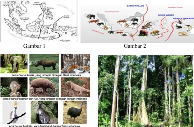 Gambar 3  Gambar 4 