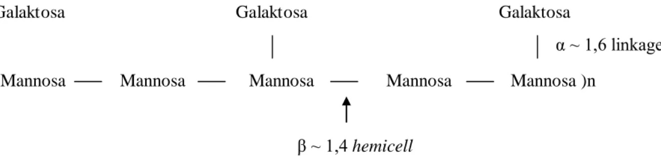 Gambar 1. Rantai  β – mannan yang dipecah oleh hemicell  (Chemgen Corporation, 2000). 