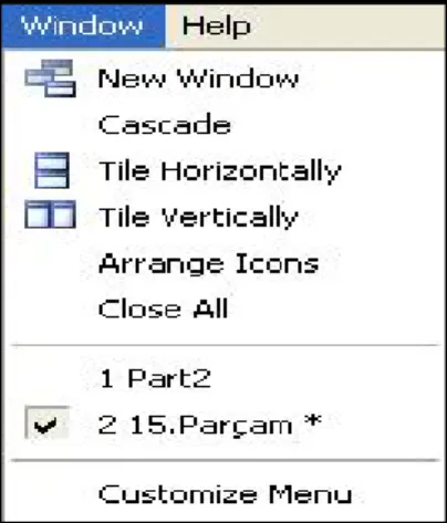 Şekil 1.6: Window Mönüsü 
