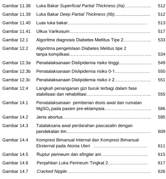 Gambar 11.38  Luka Bakar Superficial Partial Thickness (IIa)………………  512  Gambar 11.39  Luka Bakar Deep Partial Thickness (IIb)............................