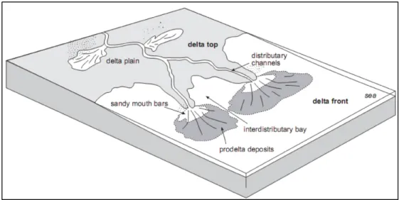 Gambar 2.9 Morfologi delta beserta sub-lingkungan delta (Nichols, 2009) 