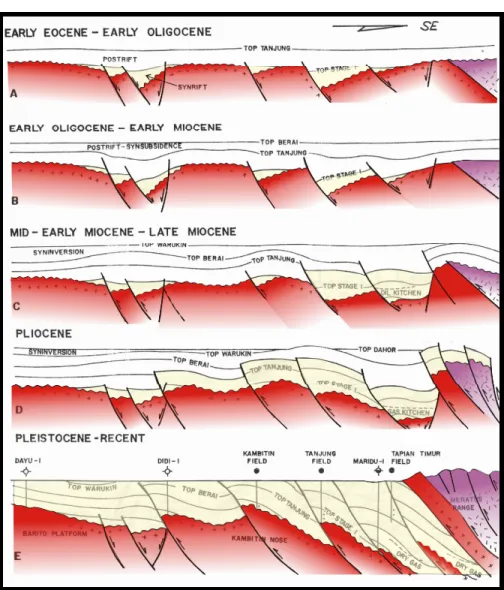 Gambar 2.1 Proses tektonik dan pengendapan formasi-formasi pada Cekungan  Barito bagian timur (Satyana, dan Silitonga, 1994) 