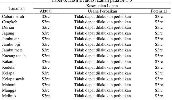 Tabel 6. Hasil Evaluasi Lahan pada SPT 5