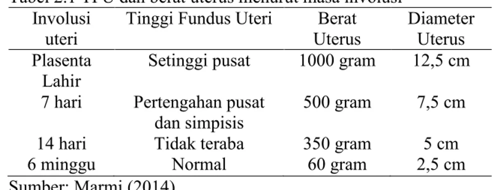 Tabel 2.1 TFU dan berat uterus menurut masa involusi  Involusi 