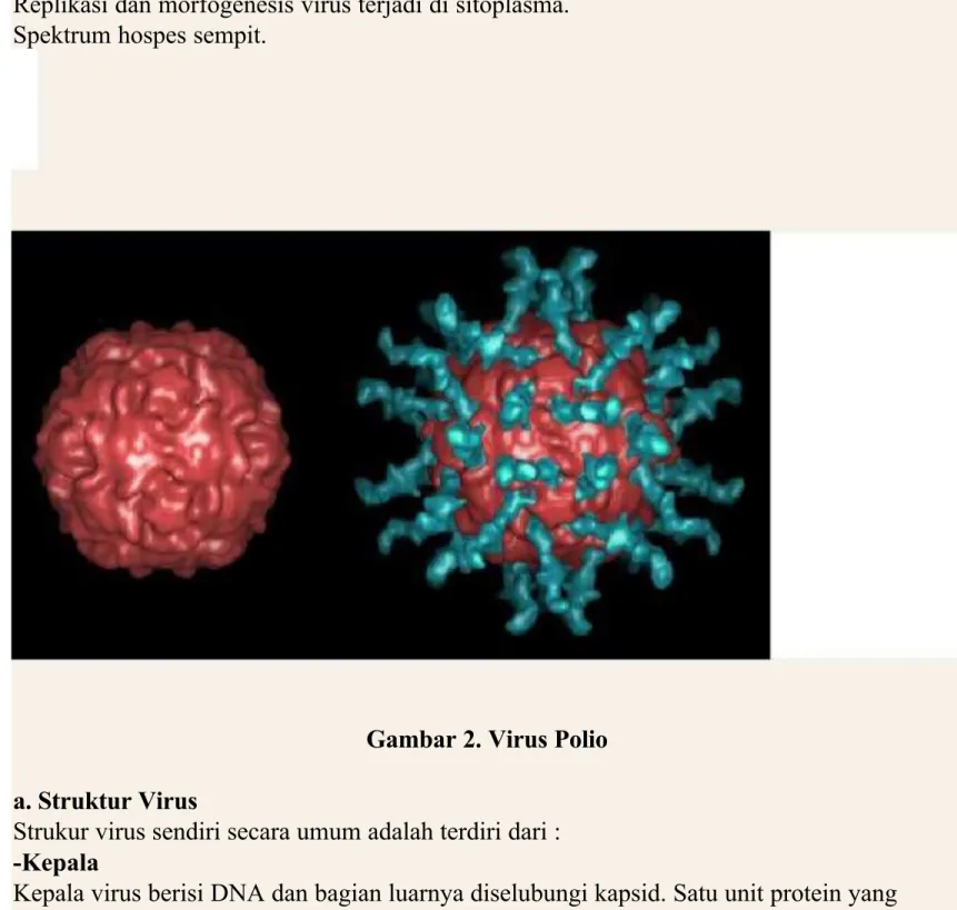 Gambar 2. Virus Polio