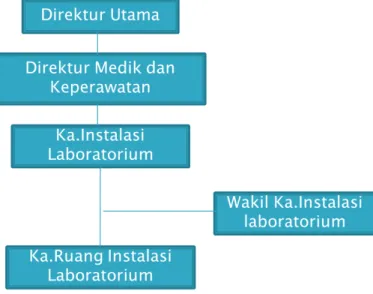 Gambar 2. Bagan dan Struktur Instalasi Laboratorium (Dirjen Yanmed, 2008).