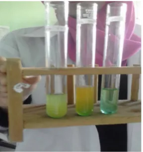 Gambar 3. Percobaan perlakuan B setelah ditambahkan reagen benedict dan dilakukan pemanasan sebanyak 2 kali pemanasan.