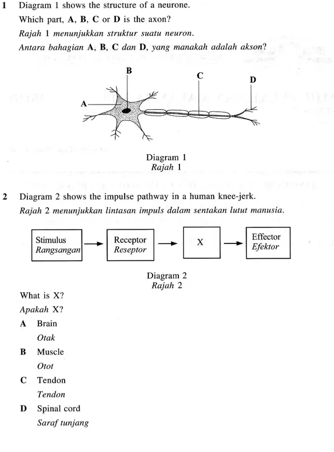 Diagram 2 shows the impulse Rajah 2 menunjukkan lintasan