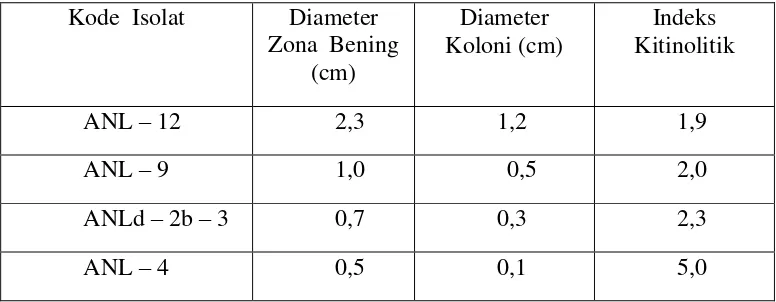 Tabel  2  Indeks kitinolitik actinomycetes yang diisolasi dari Lumpur Hutan 