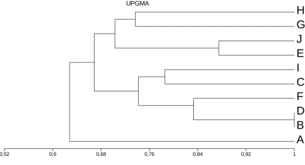Gambar 2. Hasil Dendogram Simple Matching Coeficient. 