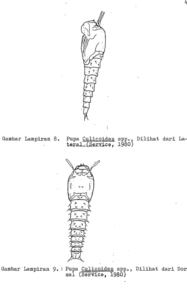 Gambar  Lampiran  8. 
