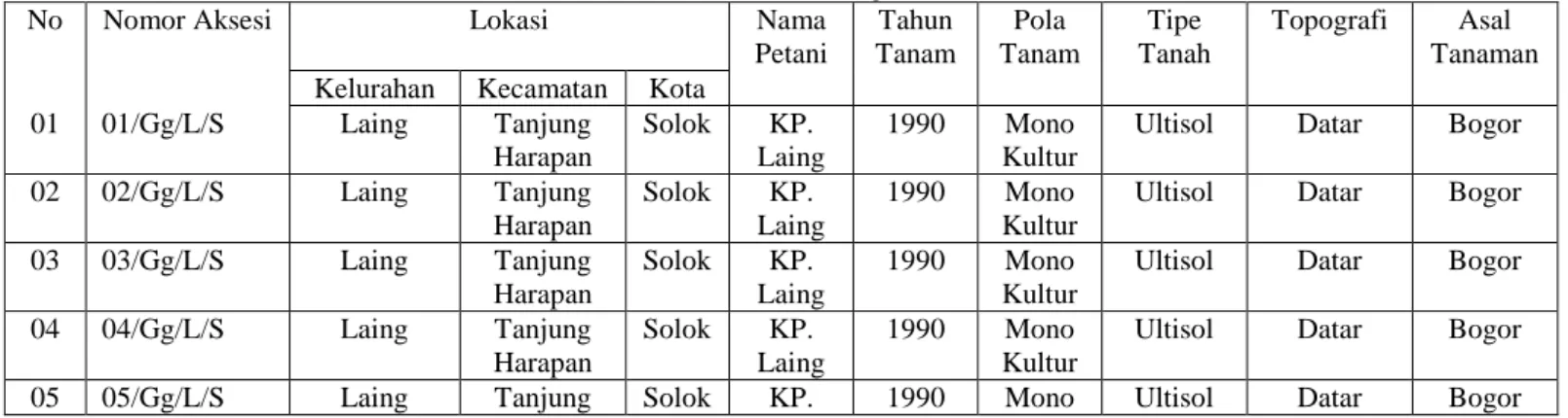 Tabel 1. Aksesi dan Lokasi  Tanaman Melinjo di Kota Solok Sumatera Barat. 