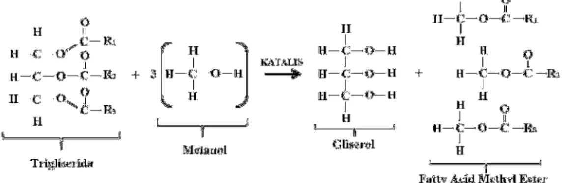 Gambar  3.  Skema  Proses  Transesterifikasi  Triglisedrida  Menjadi  Fatty  Acid  Methyl  Ester  (Biodiesel)  dan  Gliserol