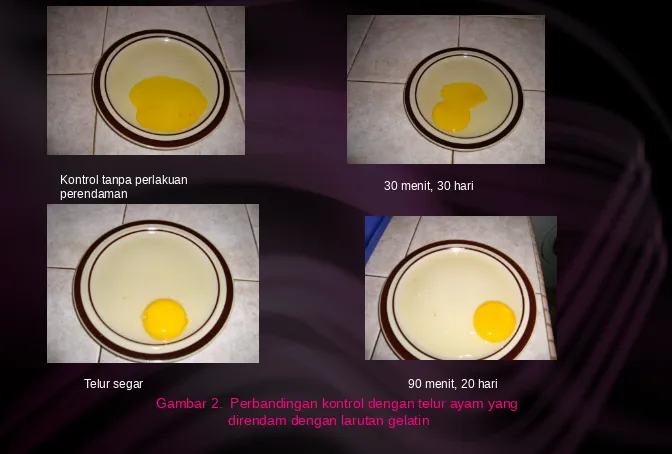 Gambar 2.  Perbandingan kontrol dengan telur ayam yang 