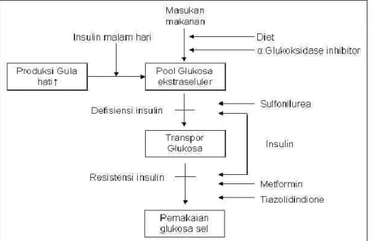Gambar 2. Sarana farmakologis dan titik kerja obat untuk pengendalian kadar glukosa  darah