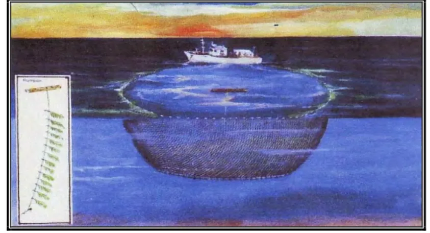 Gambar  3  Alat Tangkap Purse seine (Balai Penelitian Perikanan Laut, 2002)  Pukat Cincin (purse seine) menurut Von Brant (1984) dibentuk dari  dinding jaring yang sangat panjang, biasanya tali ris bawah (leadline) sama atau 