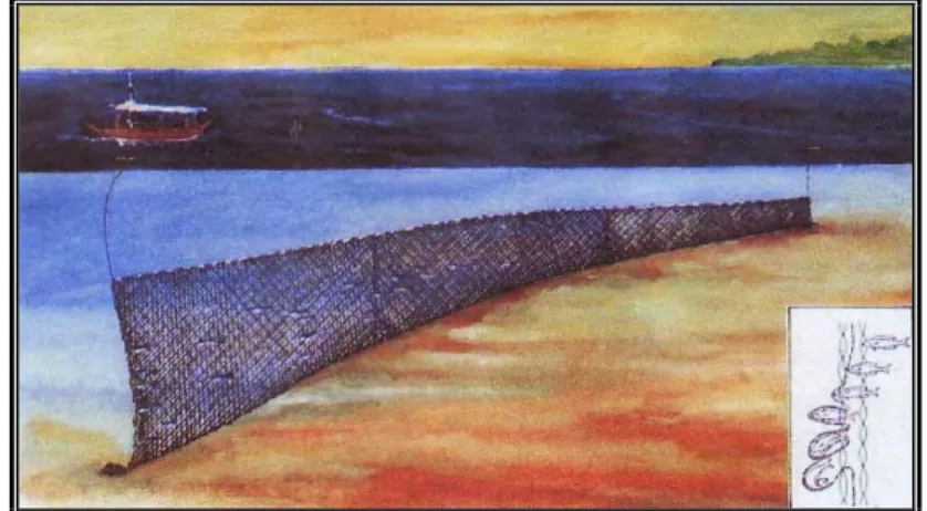 Gambar  6  Alat Tangkap Jaring Tiga Lapis (trammel net)    (Balai Penelitian Perikanan Laut, 2002 