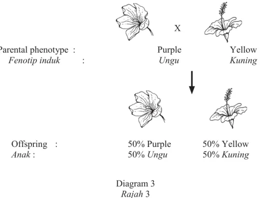 Diagram 3  Rajah 3 
