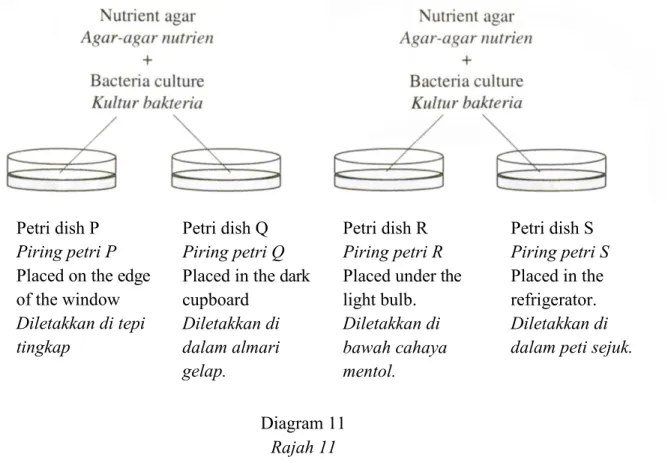 Diagram 11  Rajah 11 