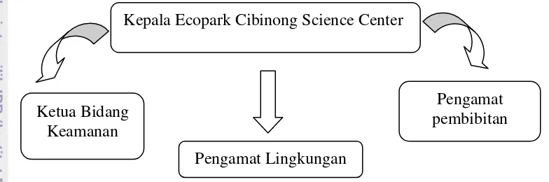 Gambar 5. Struktur kepengurusan Ekowisata Ecopark Cibinong Science Center. 