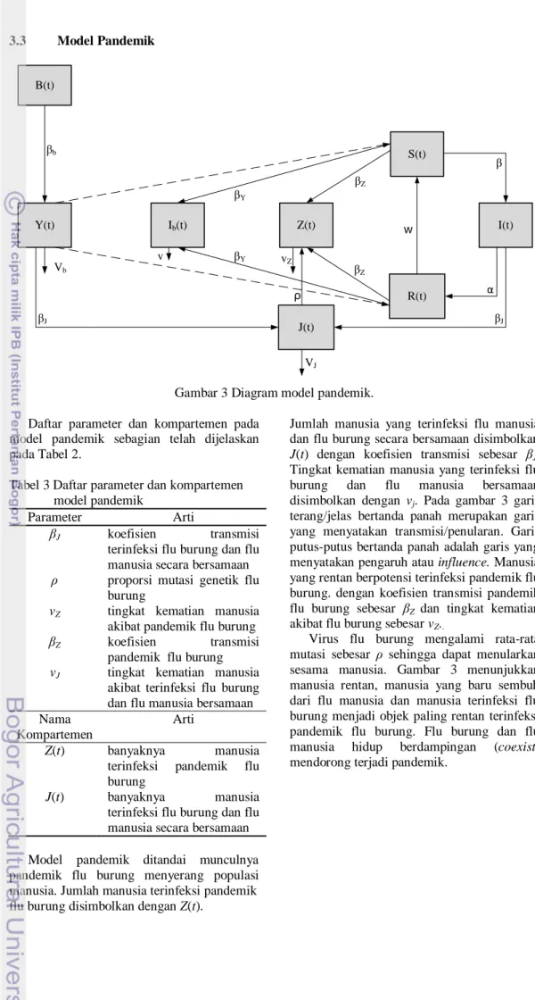 Gambar 3 Diagram model pandemik. 