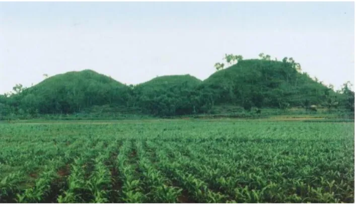 Gambar 2.5 Kerucut Karst 