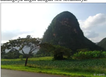 Gambar 2.6 Mogote 