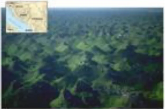Gambar 2.2 Daerah Topografi Karst 