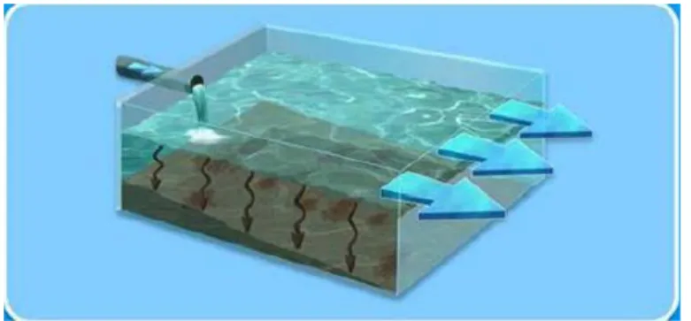Gambar 6. Proses Sedimentasi