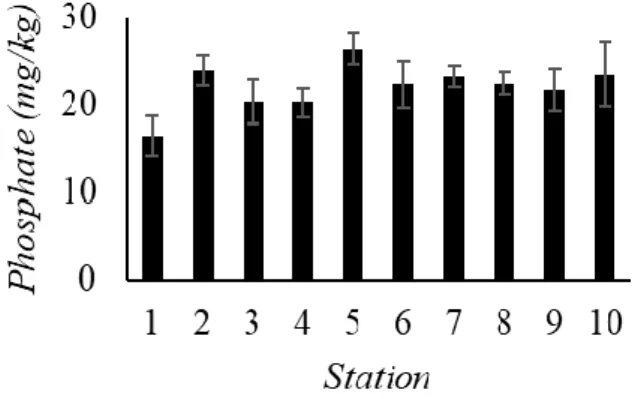 Figure 4.  Phosphate  concentration  (mg/kg)  in  sediments  in  the  Banyuasin  Estuary