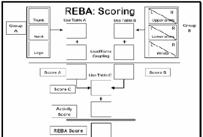 Gambar 2.7. Langkah-langkah Perhitungan Metode REBA 