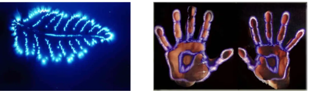 Gambar  di  atas  diambil  dari  sebuah  situs  yang  menyatakan  bahwa  cahaya  biru  yang  muncul  merupakan  bagian  dari  tubuh  energi  yang  tertangkap  kamera