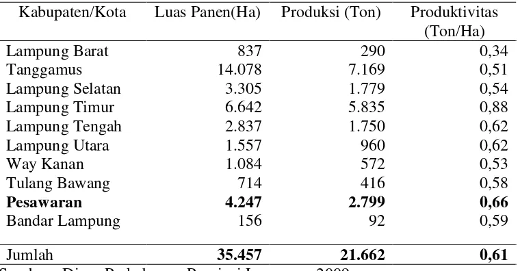 Tabel 2.  Luas areal, produksi, dan produktivitas perkebunan kakao rakyat di setiap Kabupaten/Kota di Propinsi Lampung Tahun 2009 