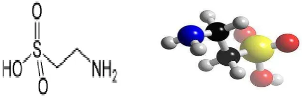 Gambar 3. Struktur taurin (3dchem, 2009) 