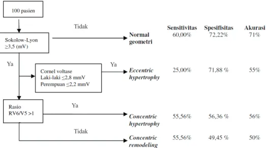 Gambar 3  ‘Flow Chart’ Identifikasi Gambaran Geometri Hipertrofi Ventrikel Kiri