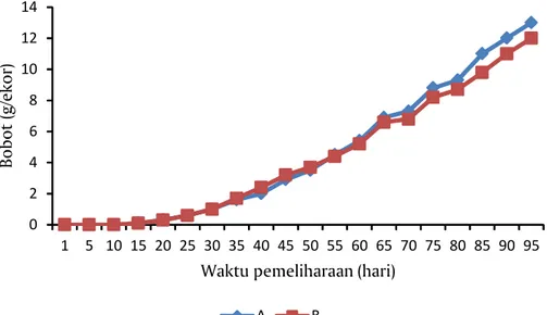 Gambar 1. Pertumbuhan udang vaname (Litopenaeus vannamei) selama pemeliharaan