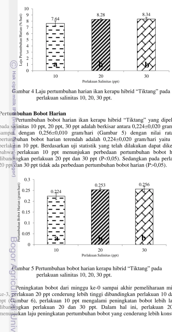 Gambar 4 Laju pertumbuhan harian ikan kerapu hibrid “Tiktang” pada    perlakuan salinitas 10, 20, 30 ppt